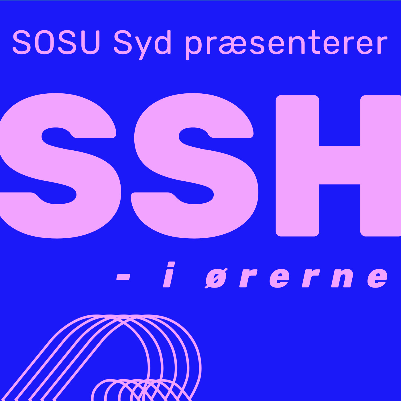SSH i ørerne af Social- og Sundhedsskolen Syd