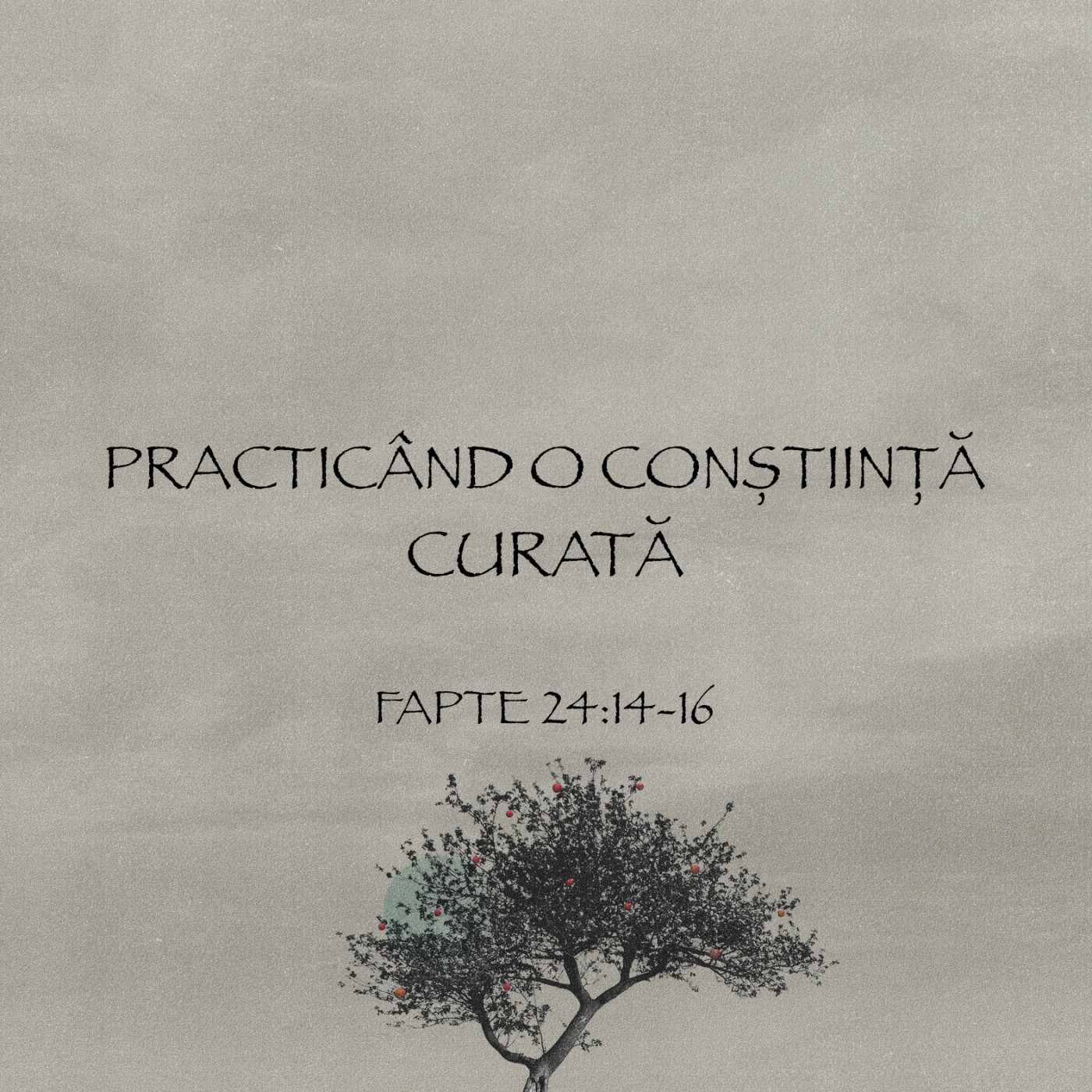 Deo Gloria Sibiu