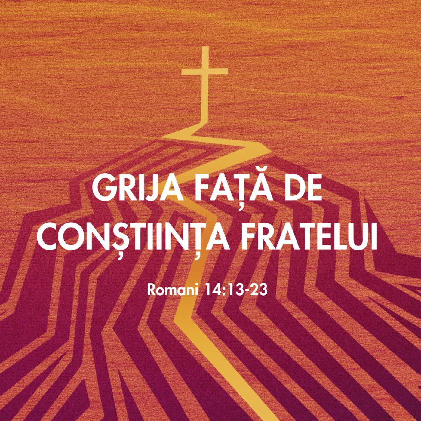 Grija față de conștiința fratelui | Romani 14:13-23 | Betuel Vararu ( Partea II )