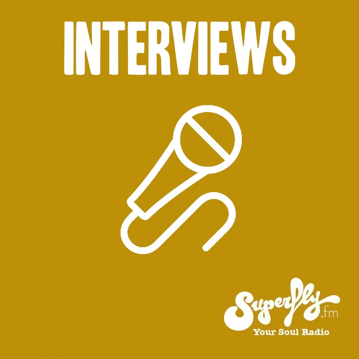 Superfly Interviews: Queer Museum Vienna - Rumi von Baires episode artwork
