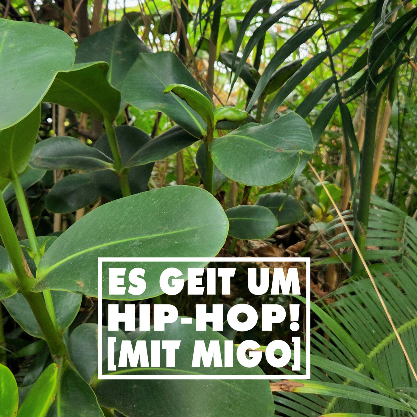 Es geit um Hip-Hop! (Mit Migo) episode artwork